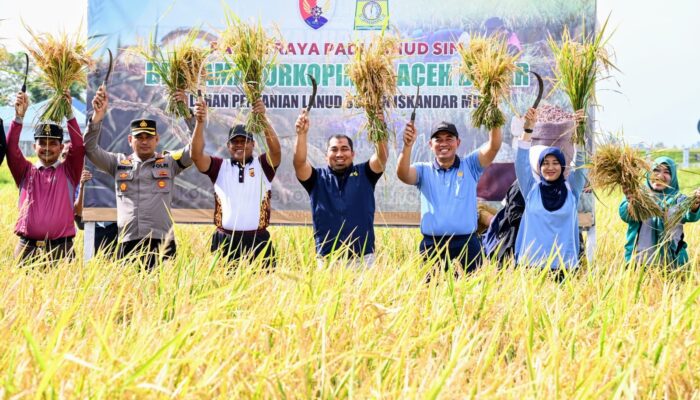 Pj Bupati-Danlanud SIM Panen Raya Padi MT Rendengan 2024