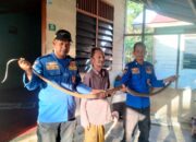 King Kobra Dievakuasi Di Tempat Tidur