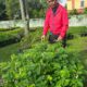 Danrem 022/PT berpose di depan bibit pohon di Makorem 022/PT, Jl. Asahan, Km 3,5 Pematangsiantar, yang akan mereka tanam sebagai komitmen bersama untuk menjaga kelestarian lingkungan dalam mendukung program penghijauan yang telah ada pencanangannya dari pemerintah.(Waspada-Ist).