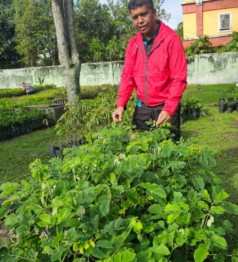 Danrem 022/PT berpose di depan bibit pohon di Makorem 022/PT, Jl. Asahan, Km 3,5 Pematangsiantar, yang akan mereka tanam sebagai komitmen bersama untuk menjaga kelestarian lingkungan dalam mendukung program penghijauan yang telah ada pencanangannya dari pemerintah.(Waspada-Ist).