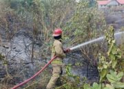 Sekitar satu hektar lahan kosong tempat di bangunnya tugu Tsunami Aceh 2004, di Gampong (desa) Lamkruet, Kecamatan Lhoknga, Kabupaten Aceh Besar, terbakar, Senin (19/2) siang. (Waspada/Ist)