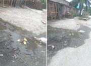 Tagihan Bertambah, Genangan Air Pipa Bocor Tempat Bebek Berenang