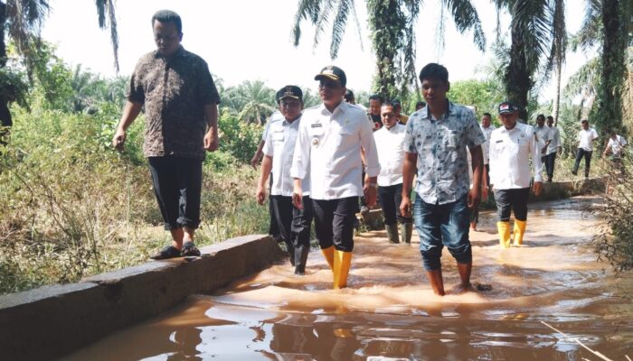 Pj Bupati Palas Tinjau Lokasi Terdampak Banjir