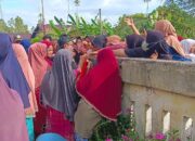 Gelar Operasi Pasar Di Kepulauan Terluar