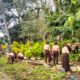 Peserta Perimtaq kwarcab Pramuka kabupaten Padang Lawas membangun kepribadian peduli lingkungan dengan mengadakan bakti sosial membersihkan pemakaman umum di beberpa lokasi TPU sekitar desa Surodingin, Minggu (25/2). Waspada/Ist