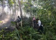 Tiga Hektar Hutan Dan Lahan Di Agara Terbakar