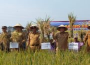 Pj Gubsu Panen Di Deliserdang