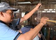 Harga Daging Ayam Dan Telur Naik, Masyarakat Mengeluh