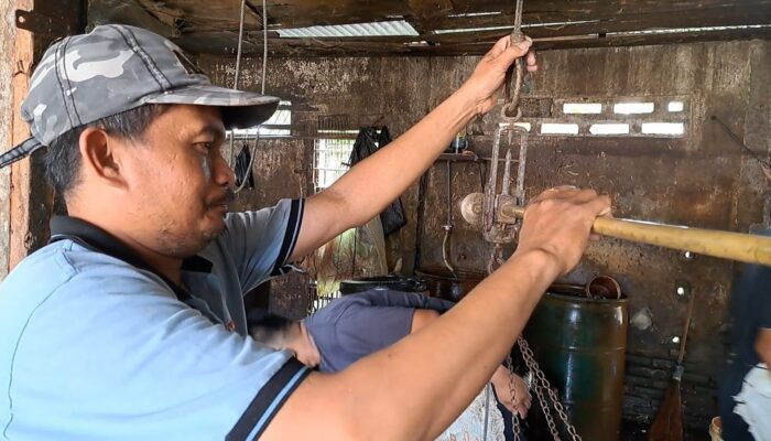 Harga Daging Ayam Dan Telur Naik, Masyarakat Mengeluh