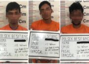 TIGA orang kawanan pencuri lembu diamanakan Polsek Besitang. Waspada/Ist