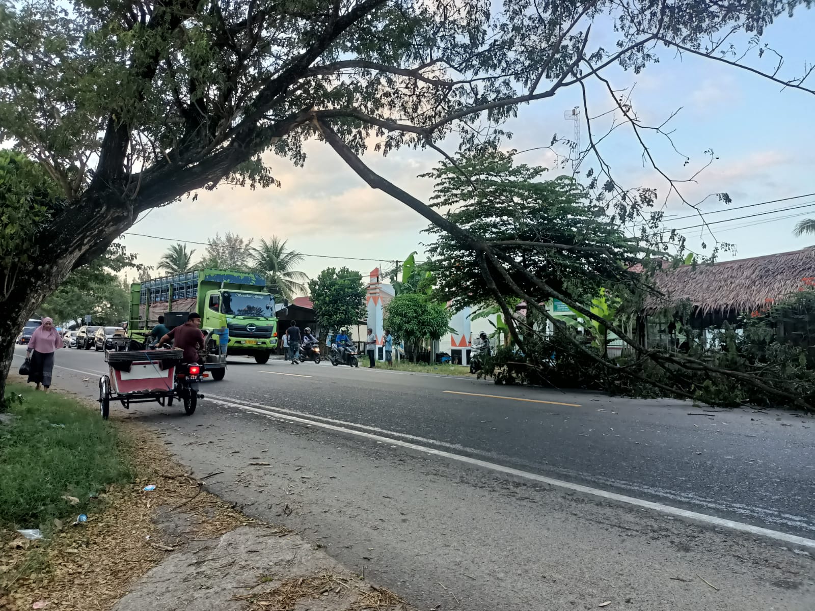 Dahan pohon trembesi patah dan membentang ke badan jalan lintas nasional Banda Aceh-Medan, tepatnya didepan Puskesmas Kuta Malaka, Gampong Lam Ara Cut, Kecamatan Kuta Malaka, Aceh Besar, Kamis (8/2). (Waspada/Ist)