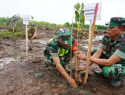 Kodim Aceh Tamiang Bersama Forkopimda Tanam Mangrove