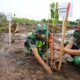 Personel Kodim 0117/Aceh Tamiang bersama unsur Forkopimda melaksanakan penanaman mangrove di Kampung Lubuk Damar, Kecamatan Seruway, Senin (12/2). (Waspada/Yusri).