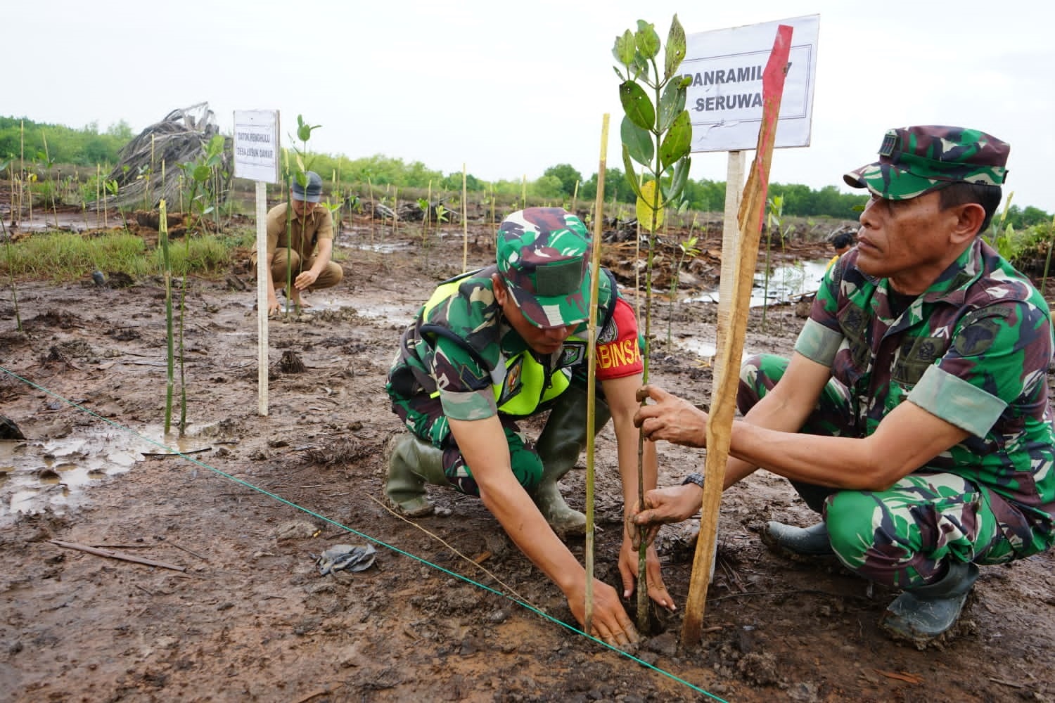 Personel Kodim 0117/Aceh Tamiang bersama unsur Forkopimda melaksanakan penanaman mangrove di Kampung Lubuk Damar, Kecamatan Seruway, Senin (12/2). (Waspada/Yusri).