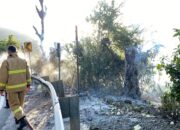 Lahan Terbakar Di Gunung Kulu