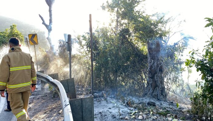 Lahan Terbakar Di Gunung Kulu