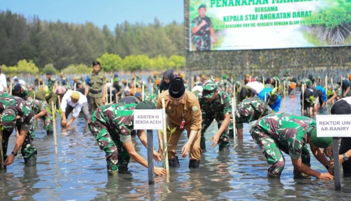 KSAD Tanam Mangrove Di Gampong Blang Uleelhue