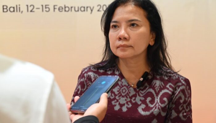 Diapresiasi Delegasi Dunia, Program Pemantauan Pemilu Di Bali Sukses