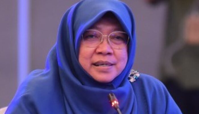 Anggaran Perlinsos 2024 Naik, Ini Kata Anggota Komisi XI DPR  