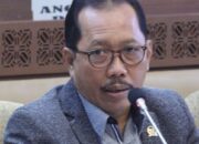 Penyelenggara Pemilu Meninggal Dan Sakit, Desain Pemilu Serentak Dinilai Perlu Dievaluasi