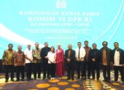 Impor Beras Di Masa Tidak Panen, Untuk Atasi Kelangkaan Tanpa Rugikan Petani