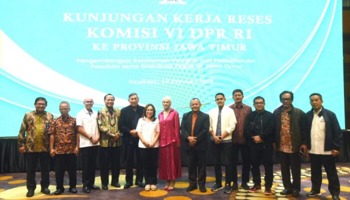 Impor Beras Di Masa Tidak Panen, Untuk Atasi Kelangkaan Tanpa Rugikan Petani