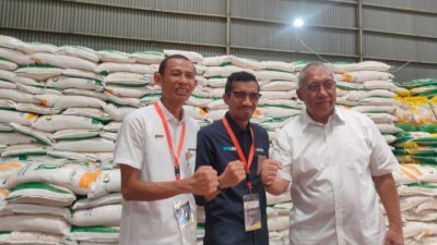 Ribuan Masyarakat Labuhanbatu Antusias Sambut Kedatangan Jokowi Ribuan Masyarakat Labuhanbatu Antusias Sambut Kedatangan Jokowi
