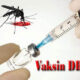 VAKSIN DBD. Waspada/ist