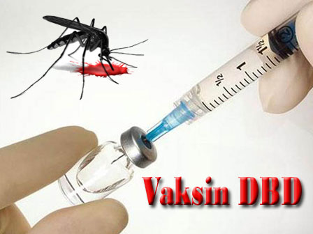 VAKSIN DBD. Waspada/ist