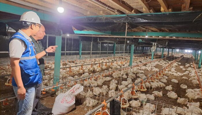 Perhatikan Daya Beli Masyarakat, Tarif Listrik April-Juni 2024 Tetap