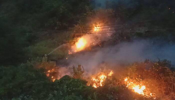 Lagi Karhutla Terjadi Di Lereng Gunung Sisi Jalan Banda Aceh-Calang