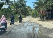 7 Km Jalan Induk Di Idi Cut Butuh Perhatian Pemerintah