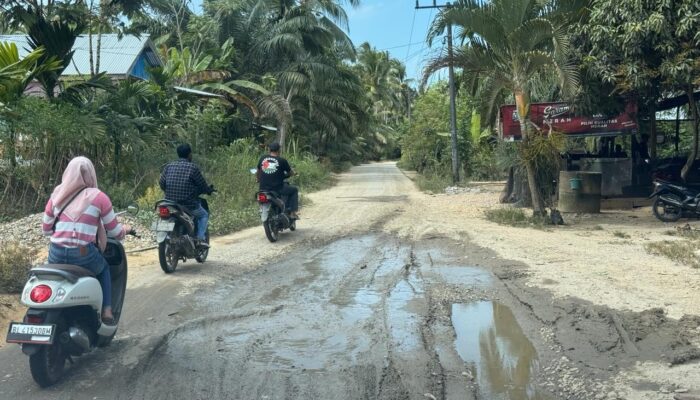 7 Km Jalan Induk Di Idi Cut Butuh Perhatian Pemerintah