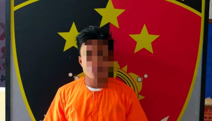 Dianiaya Maling Sawit, Centeng Kebun Lapor Polisi.