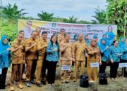 TP PKK Simalungun Ikut Gertam Cabai Serentak Nasional