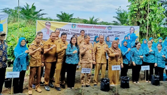 TP PKK Simalungun Ikut Gertam Cabai Serentak Nasional