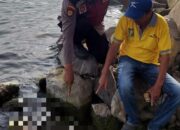 Polsek Purba Gercep Evakuasi Potongan Tubuh Manusia