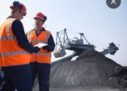 Seluruh Daerah Di Indonesia Miliki Sumber Energi Nabati