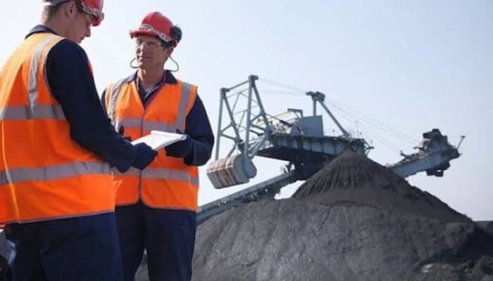 Seluruh Daerah Di Indonesia Miliki Sumber Energi Nabati