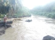 Sungai Batang Taris Meluap, Persawahan Balakka Sitokkon Terancam