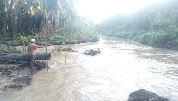 Sungai Batang Taris Meluap, Persawahan Balakka Sitokkon Terancam