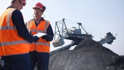 Seluruh Daerah Di Indonesia Miliki Sumber Energi Nabati Seluruh Daerah Di Indonesia Miliki Sumber Energi Nabati
