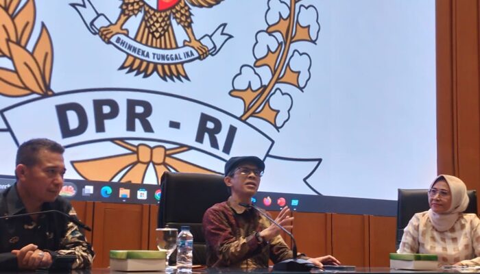Pengamat Politik: Pasca Pilpres 2024, Konsolidasi Demokrasi Penting