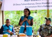 PLN Bersama Kemenkeu Tinjau Lokasi Listrik Desa Di Nias