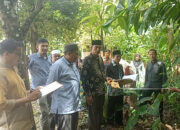Rampungkan Pengukuran Tanah Wakaf, Kakankemenag Abdya Apresiasi KUA Blangpidie