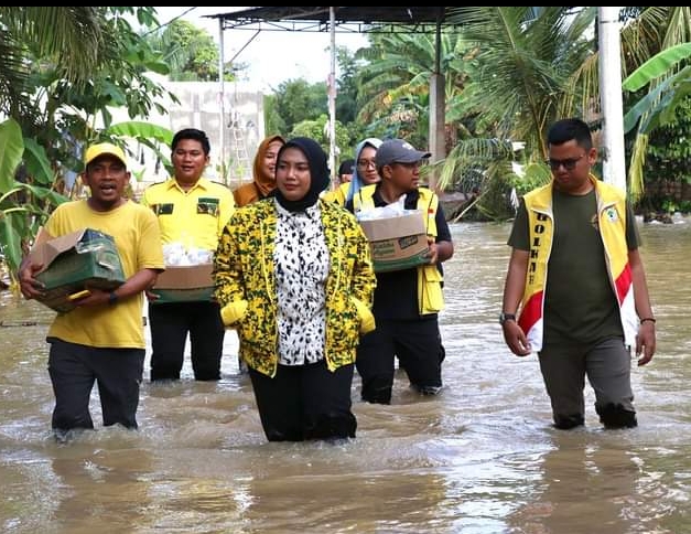 Selisih 833 Suara Dari Syahrul Pasaribu, Tri Novi Melenggang Ke Senayan