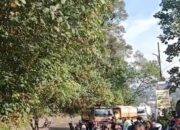 Polres Simalungun Gercep Atasi Pohon Tumbang, Akses P.Siantar – Parapat Kembali Lancar