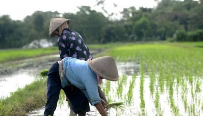 Mentan Khawatirkan Indonesia Masuk Kategori Darurat Pangan