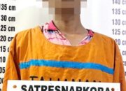 Miliki Sabu Dan Ganja, Residivis Kembali Diringkus