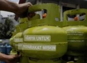 86 Pangkalan PT SSL Diduga Bodong